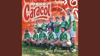 Amor de Madrugadas