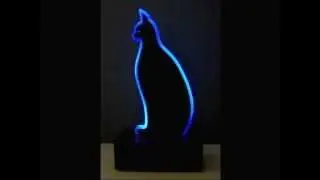Cool Cat by Dorothy Tanner