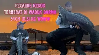 AKHIRNYA PECAH,.. rekor terbesar di waduk darma sementara 2025 94cm 10,51 kg woww!!!