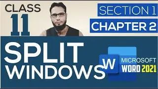 CLASS 11 II SPLIT WINDOW IN MICROSOFT WORD
