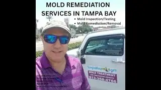 Mold Remediation Services Tampa FL 813-358-4766 TampaBayMold.net
