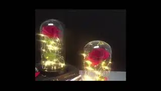 LED Ewige Rose leuchtend