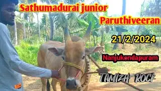 Sathumadurai junior paruthiveeran 🔥8:87sec Nanjukondapuram street 21/2/2024.. @TAMIZHROCK
