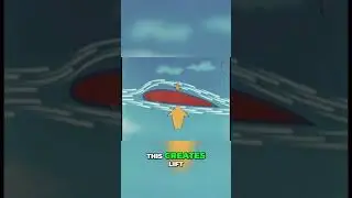 The Science Behind Bird Flight  How Wings Create Lift