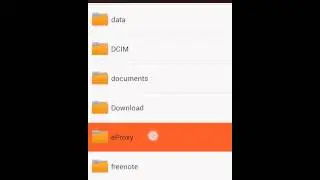 eProxy setting