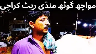 Mawash Goth Mandi Rates | Naval Mandi | Karachi Cattles Market 2023 Cow Mandi 2023 Bakra Eid Qurbani