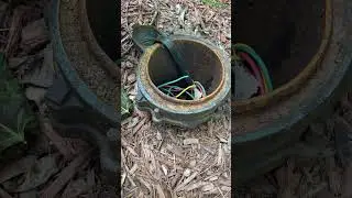 Somebody Cut the Bolts on This Well Cap!