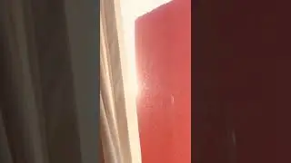 Утренний воздух в прожекторе солнечного луча