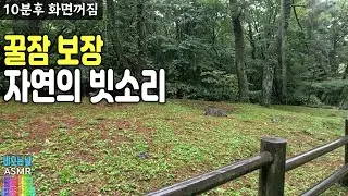 [꿀잠보장] 조용하고 부드러운 빗소리... 듣다보면 어느새 아침입니다 (10분후 화면꺼짐)