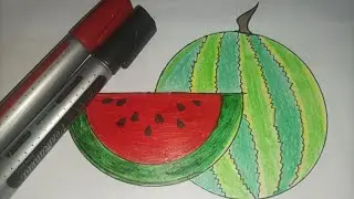 How to Draw Watermelon 🍉 Easy watermelon 🍉 Drawing|| Easy Colour ideae