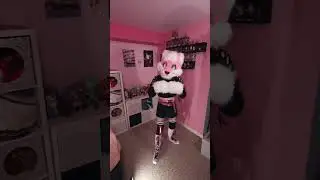 I choose to wear it #pink #furry #femboy #femboyhooters #furrycommunity #blossomthesnowfox