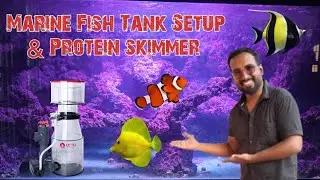 Marine Fish🐠 Tank Setup | Protein Skimmer Setup | #fish #marinefish #tamil 