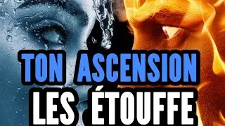 Élu(e), ILS ONT RIGOLÉ… AUJOURD’HUI ILS S’ÉTOUFFENT AVEC TON ASCENSION