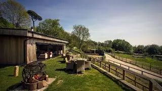 Treehouse Hotel - At Port Lympne Reserve, Hythe, United Kingdom | Travel With Kiara