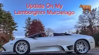 Update On My Lamborghini Murcielago