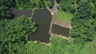 Aerial view of Abu Tallam Fish Farm and resort
