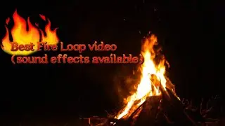 Free 4K/HD Amazing Bonfire looped video #nature#satisfying#bonfire#fire#loopedvideo#satisfyingvideo