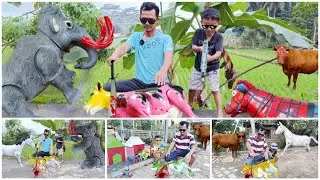 MANTAP...! DRAMA WADIDAU ‼️PROSES POTONG SAPI MOO KURBAN IDUL ADHA