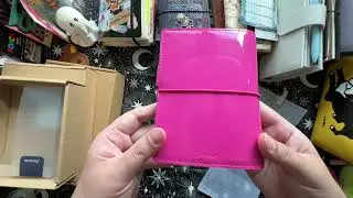 Mini Planner Haul and a rant about my health Hobo Weeks