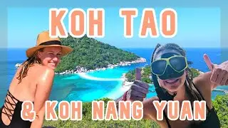 KOH TAO & KOH NANG YUAN 🌴 | THAILAND 🇹🇭  | Snorkeling in Paradise🤿