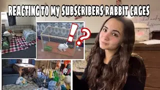 Reacting to my￼ subscribers rabbit cages #rabbitcare #trending