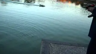 f 1 graupner  test lipo defekt