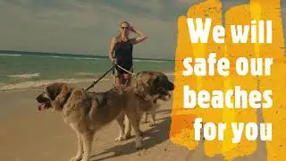 Clean Planet Project