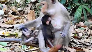 Go....I am not your mom...