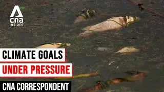 Climate Change And How The World Is Responding: Can We Still Defy The Odds? | CNA Correspondent