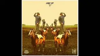 Lonco Vip 