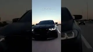 VNTLP - GO