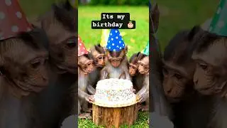 Birthday celebration with my friends 🎉🎂 #shortsfeed #shorts #trending #aivideo #aiart #ai #birthday