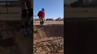 🎬 Mr. Rogers on Jackass: The Pogo Stick Snake Pit Stunt! 😂🐍#fyp #funny #comedy #viral #relatable