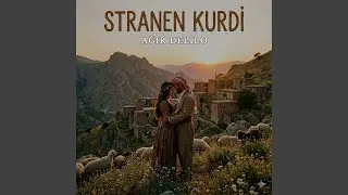 Ağır Delilo