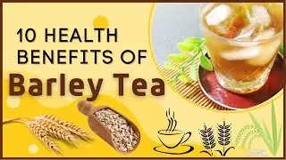 10 Amazing Health Benefits of Barley Tea - Fitness Bookz