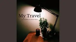 My Travel