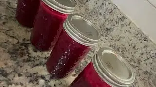 HEALTHY DRINK NO ADDED WATER