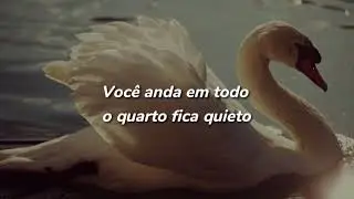 Rozellyn - Swan Beauty (Letras//Tradução BR-PT)