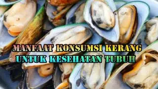 Benefits of Consuming Shellfish for Body Health