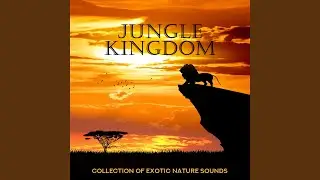 Sounds of Nature Kingdom
