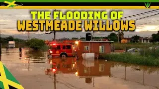 The Flooding Of Westmeade Willows | St Catherine, Jamaica