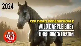 🎤 RDR2: Where to find Thoroughbred Horses | Location for Wild Dapple Grey Thoroughbred