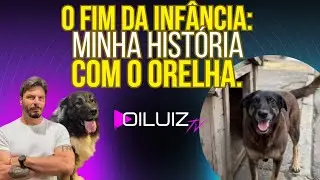 O fim da infância: minha história com o cachorro Orelha
