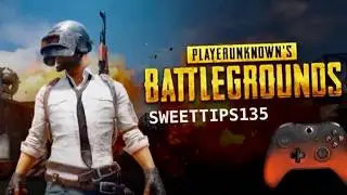 Chicken Dinner with the squad