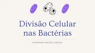 Divisão celular nas bactérias