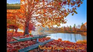Welcome &Aring;&uuml;t&ugrave;m&ntilde; Beautiful autumn Golden leaves of &Aring;&uuml;t&ugrave;m&ntilde; Mesmerizing &Aring;&uuml;t&ugrave;m&ntilde; Golden season