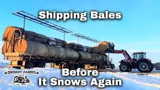 January Wasn’t The Plan | When A Wagon Feels Like A Sled