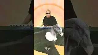 TONGO FOREVER - NUMB