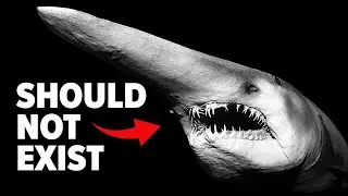The Descent: Monsters of the Abyss