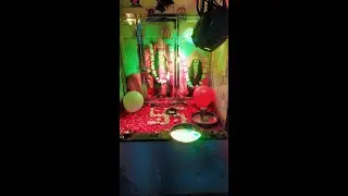 2015 kali mata jagran nav yuva mandal kamani pul PART:1